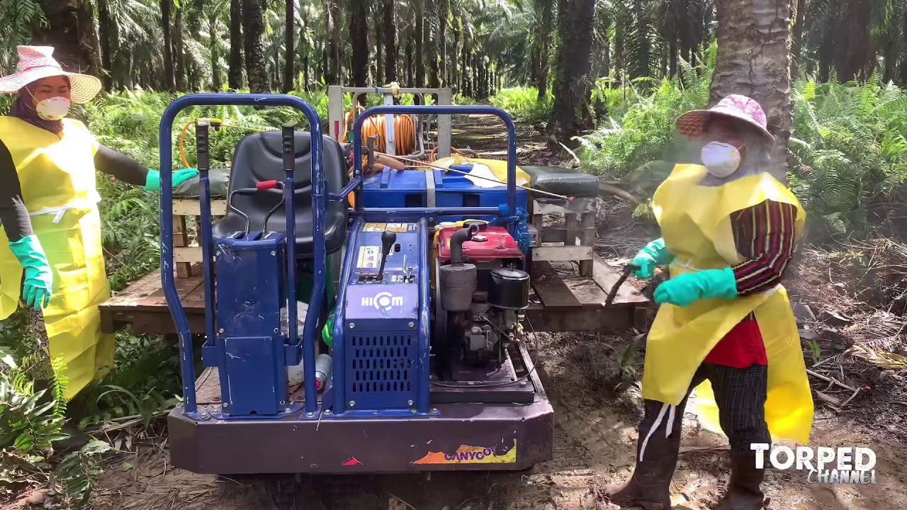 Oil Palm Weeds Management By Mechanization Sprayer