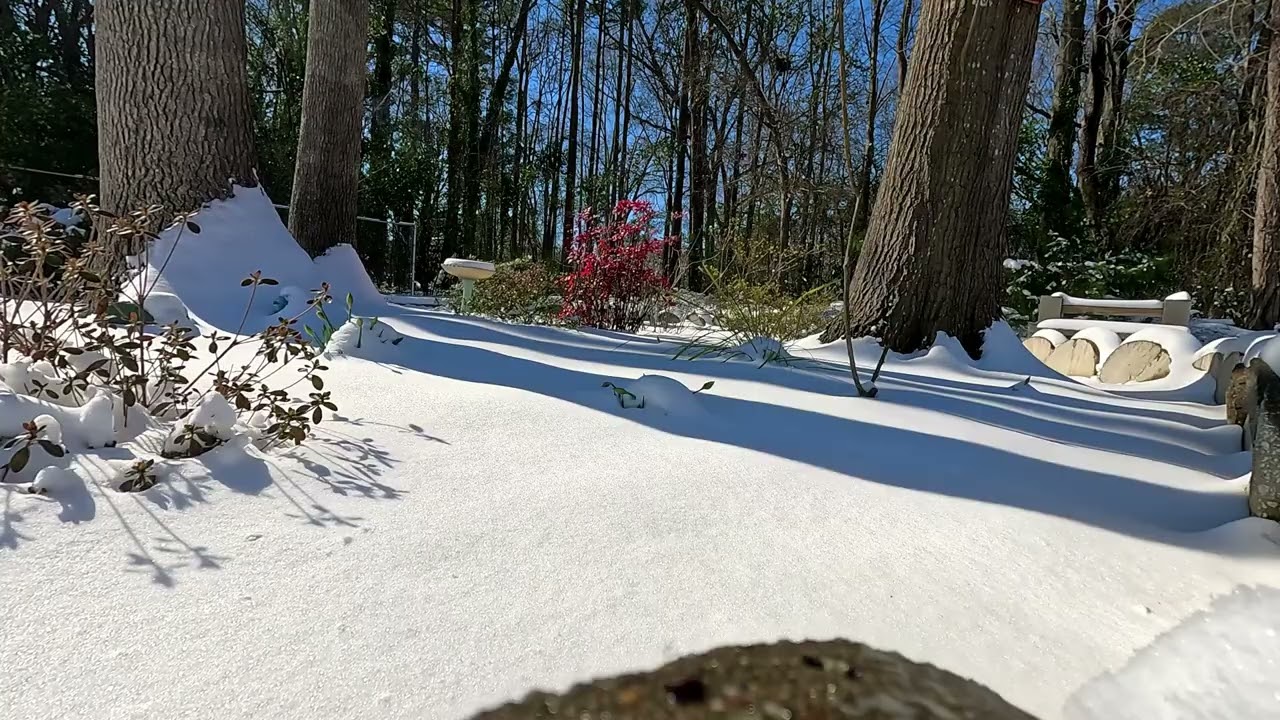 A Winter's Storm - Relaxing ASMR Nature Sounds ☃️❄️
