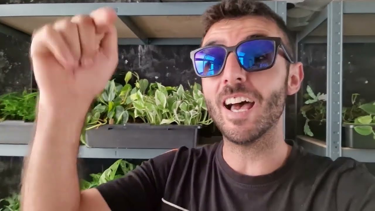 🦎 SUSTRATOS BIO feat REPTILFOOD 🦗🐛