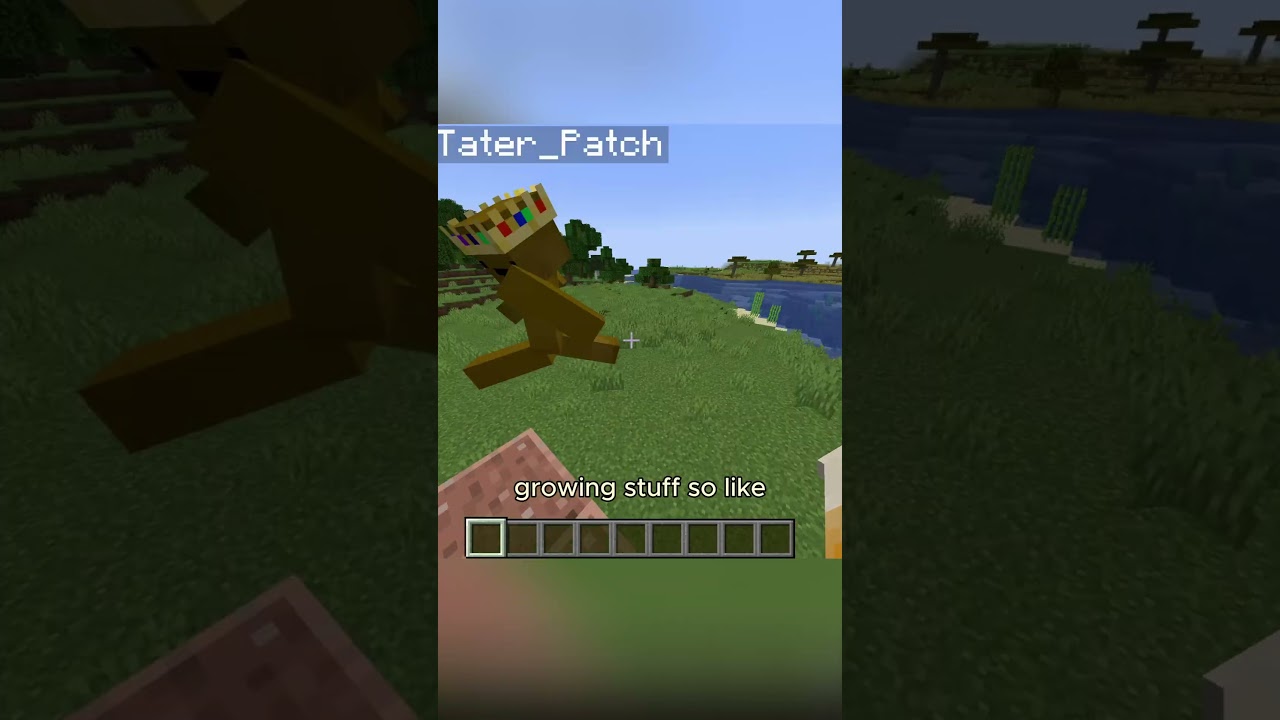 Guess the weight podzol edditon
