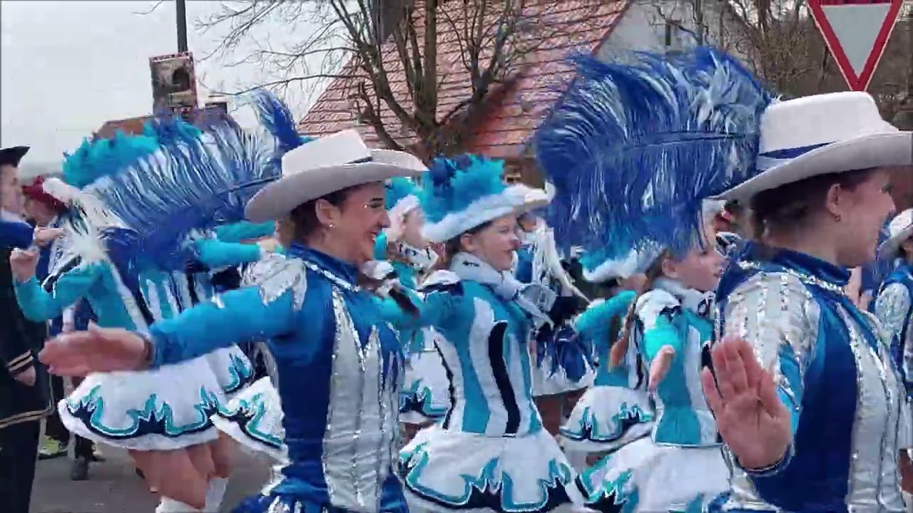 Faschingsumzug Schonungen 2024