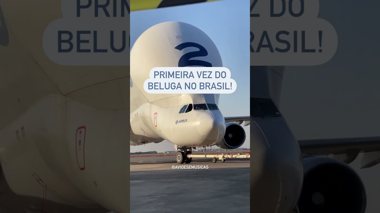 Primeira vez do Beluga no Brasil!