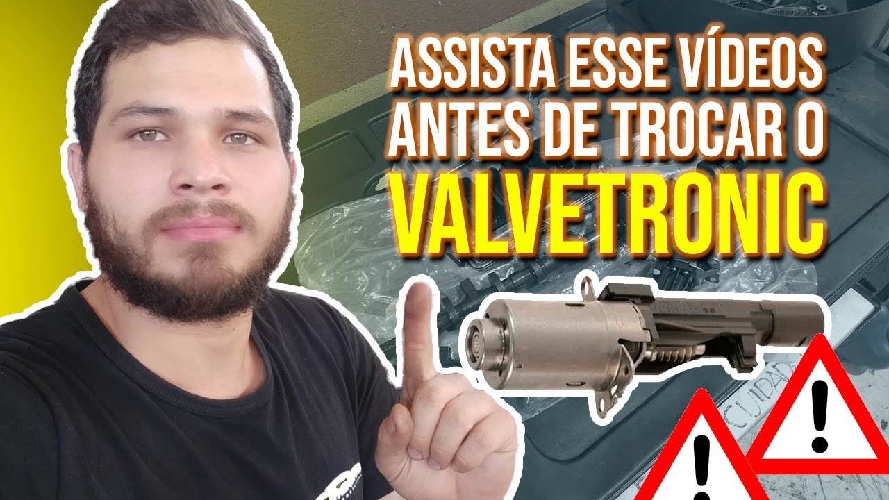 ATENÇÃO: Não troque o VALVETRONIC da sua BMW antes de assistir esse Video
