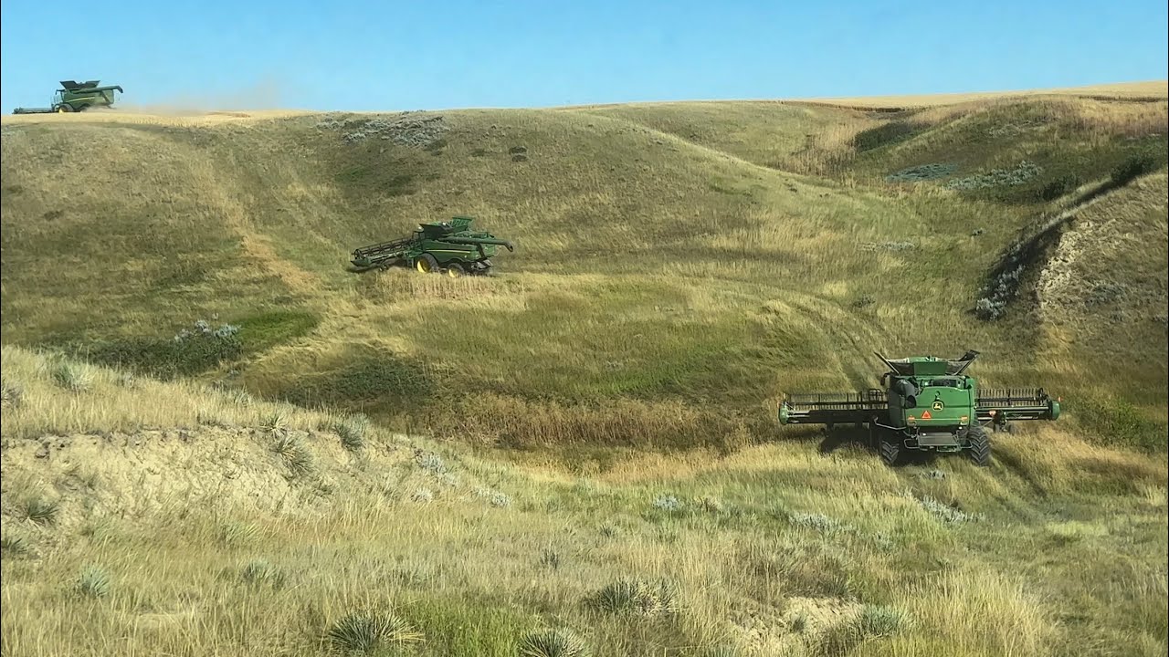 Who Needs A Gator? / Day 23 Highwood Montana Wheat Harvest (August 11)