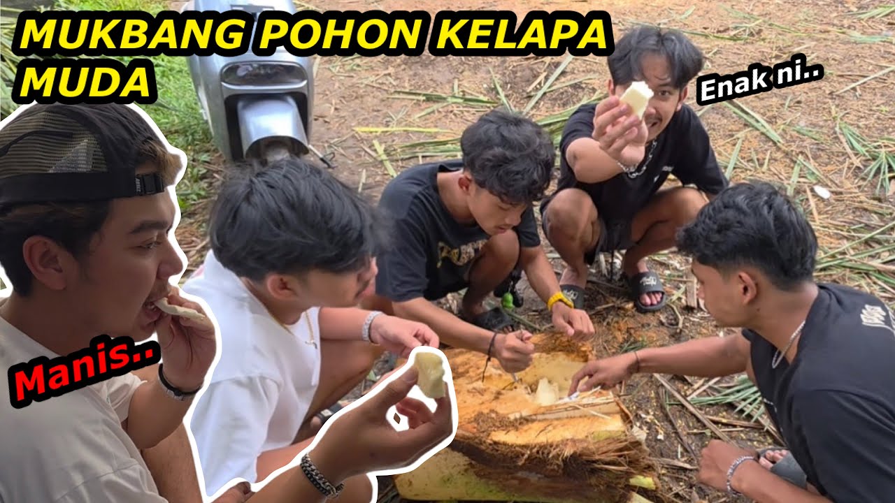 MUKBANG POHON KELAPA MUDA