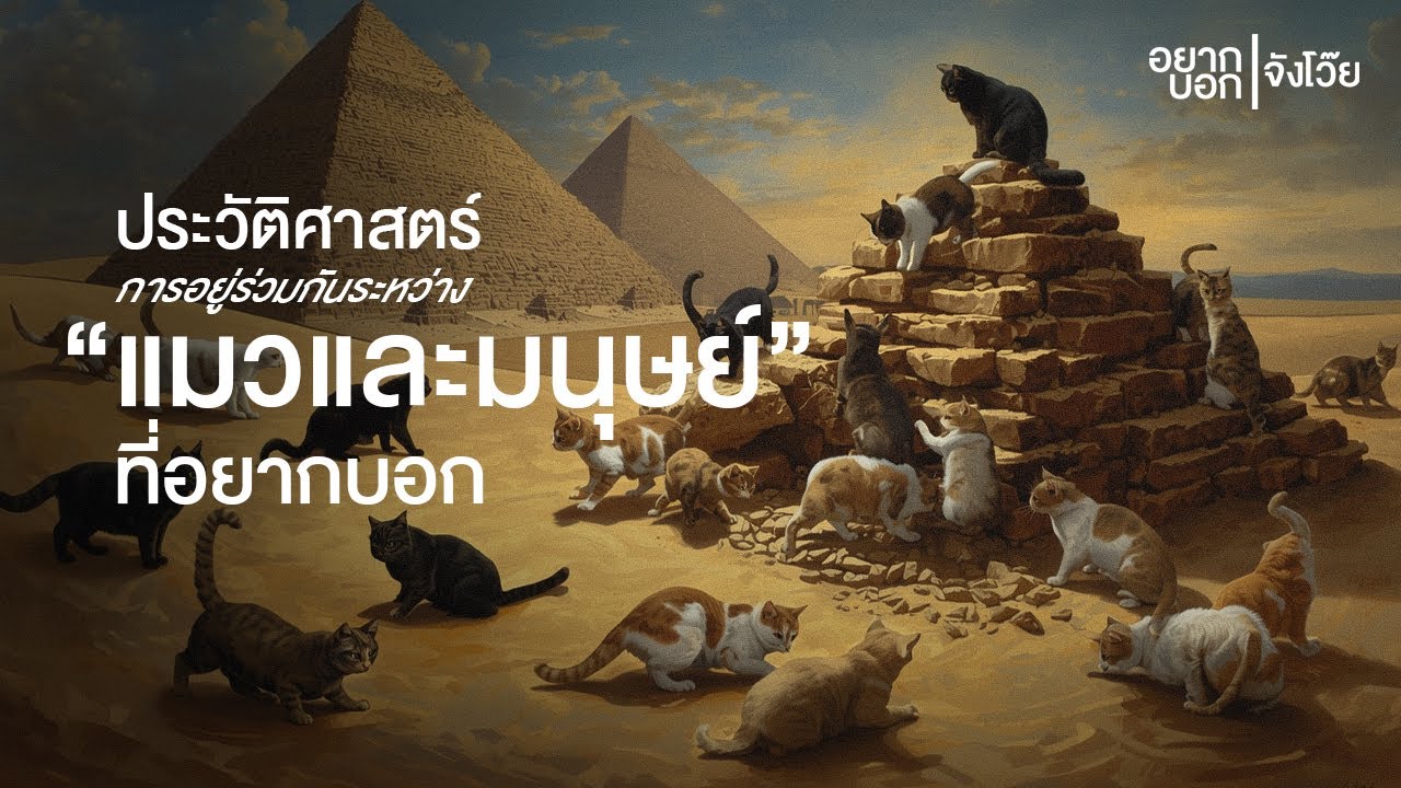 ประวัติศาสตร์ 