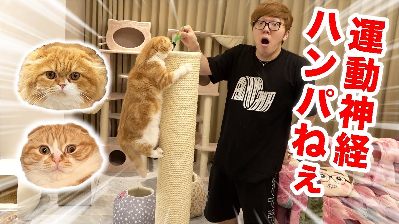 まるお&もふこのハンパない運動神経をお見せします！