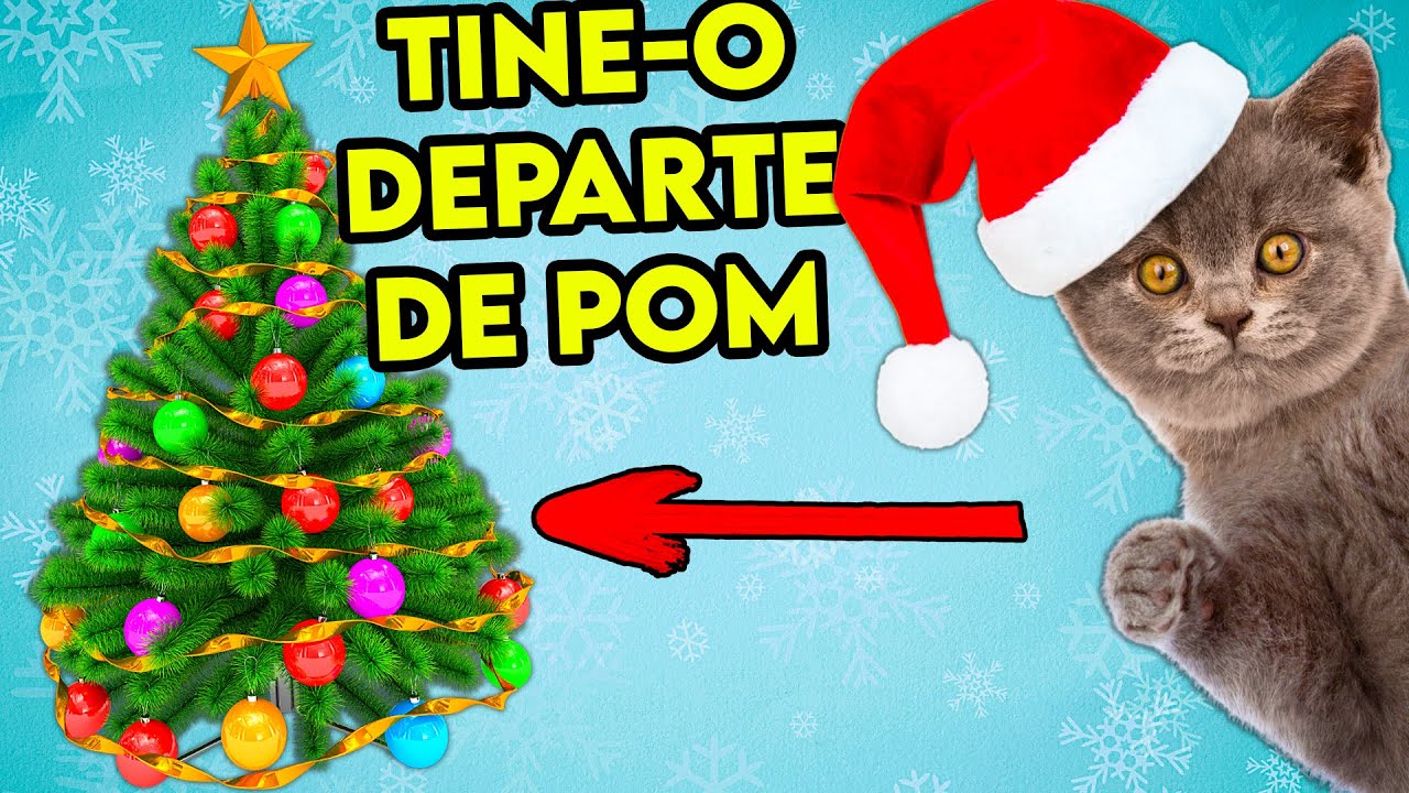 ASA TREBUIE SA FACI POMUL DE CRACIUN DACA AI O PISICA!