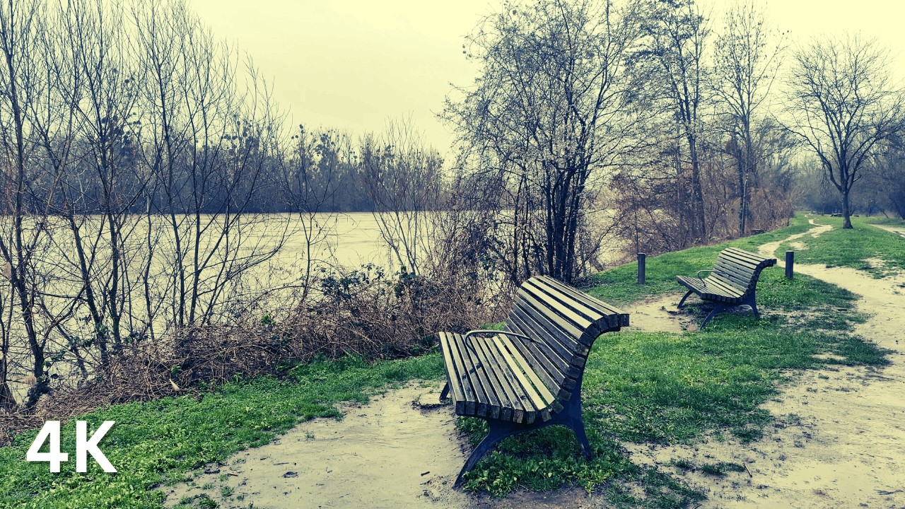 [4K] Cold Rain & Rising River – Melancholic Winter Path at Herblay (February 2026)