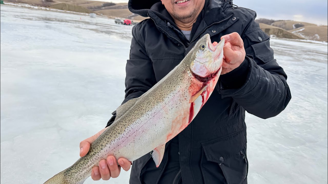 TROUT ICE FISHIING 2/826