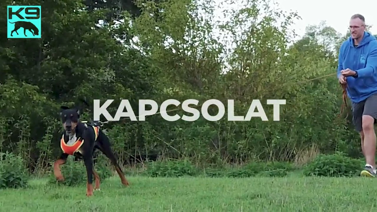 K9 MANTRAILING - SZENVEDÉLY ÉS ÉLETÉRZÉS