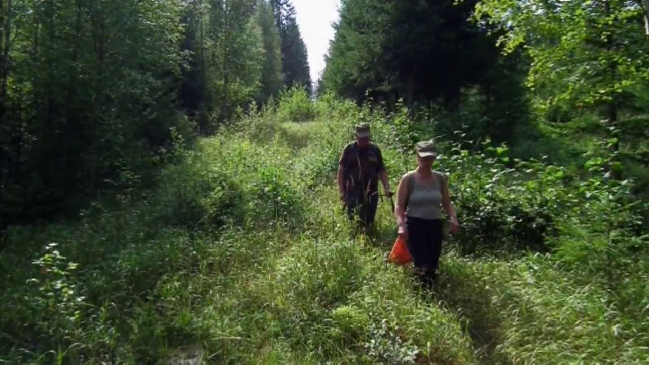 Finnskogen Wanderung