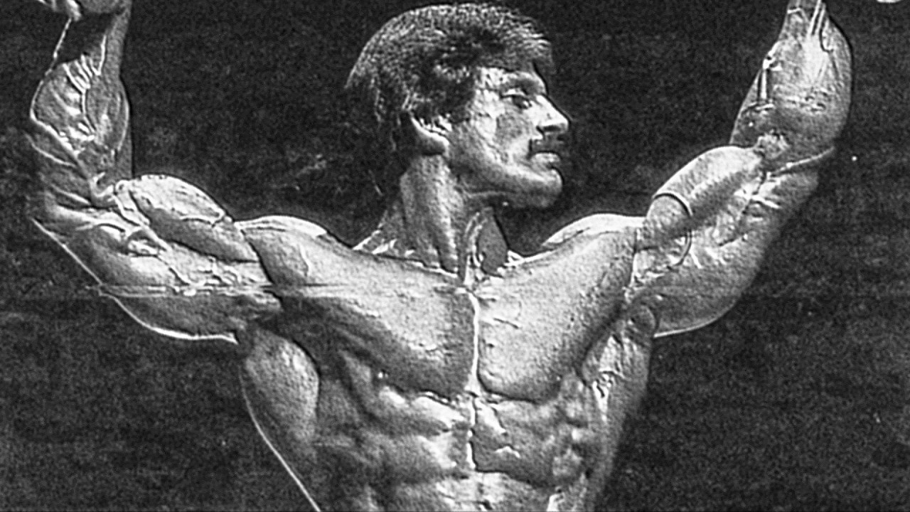 Discipline Doesn't Appear. You Build It.