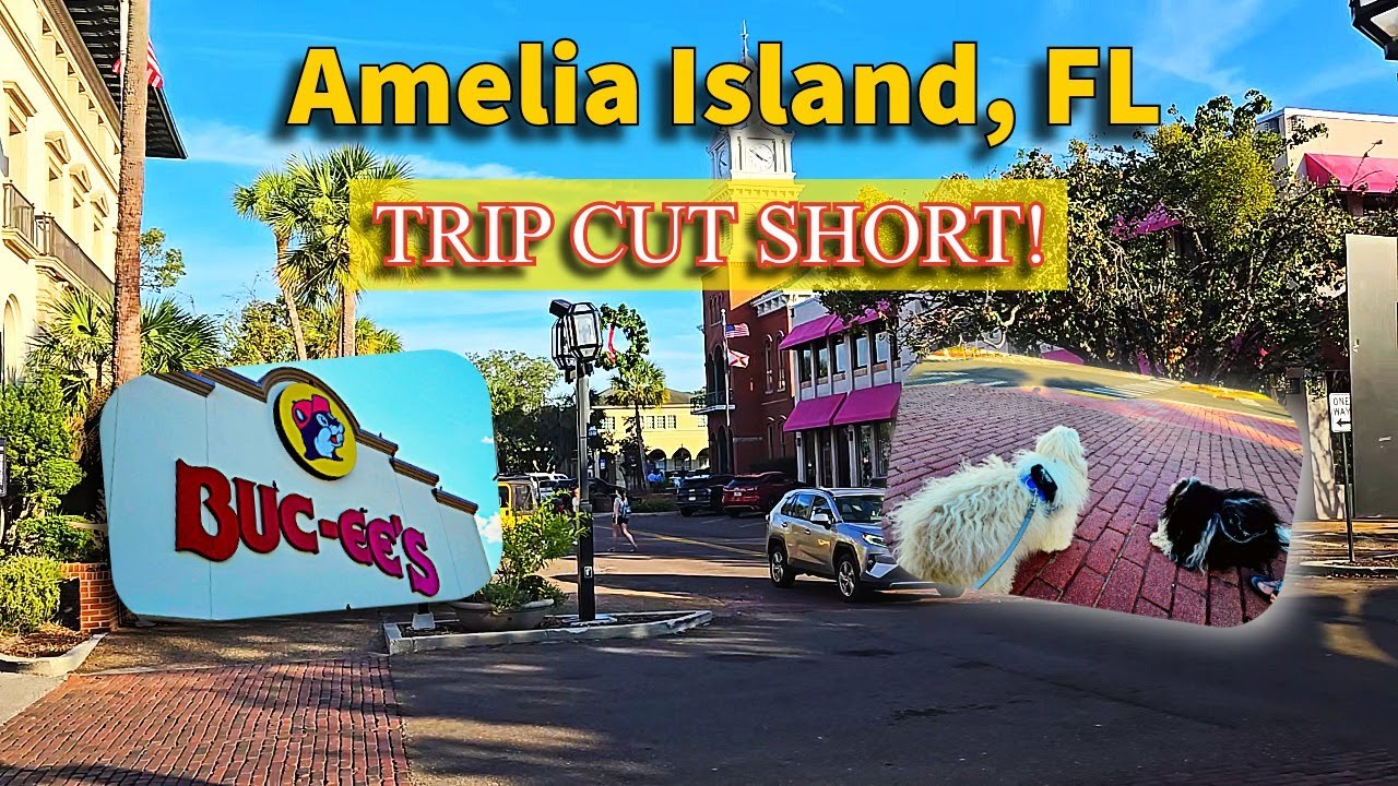 Amelia Island was beautiful... until the sandspurs attacked! 🐾