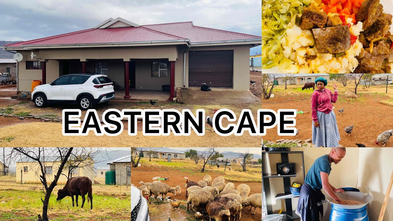 EASTERN CAPE VLOG: TRADITIONAL CEREMONY