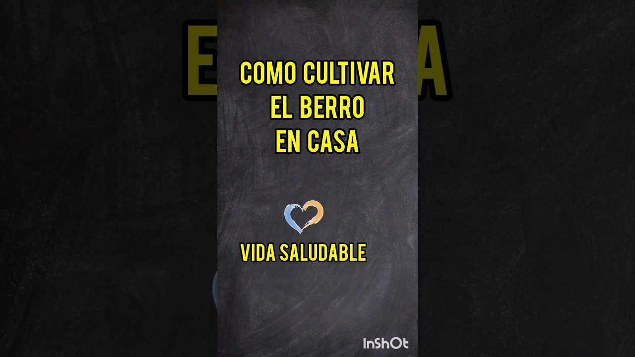 Como Cultivar Berro en Casa #nutricion #vidasana #alimentacionsaludable #vidasaludable #alimentos