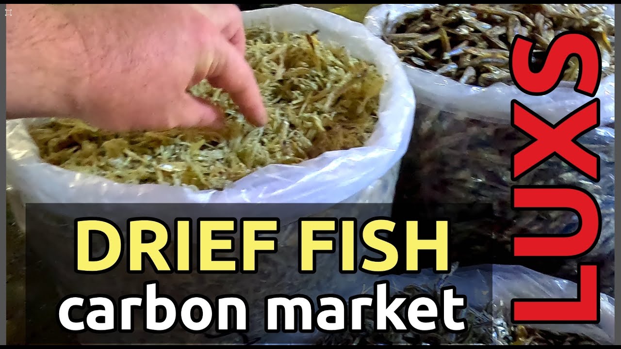 Dried Fish at Carbon Market, Cebu - Local Favorites 🇵🇭
