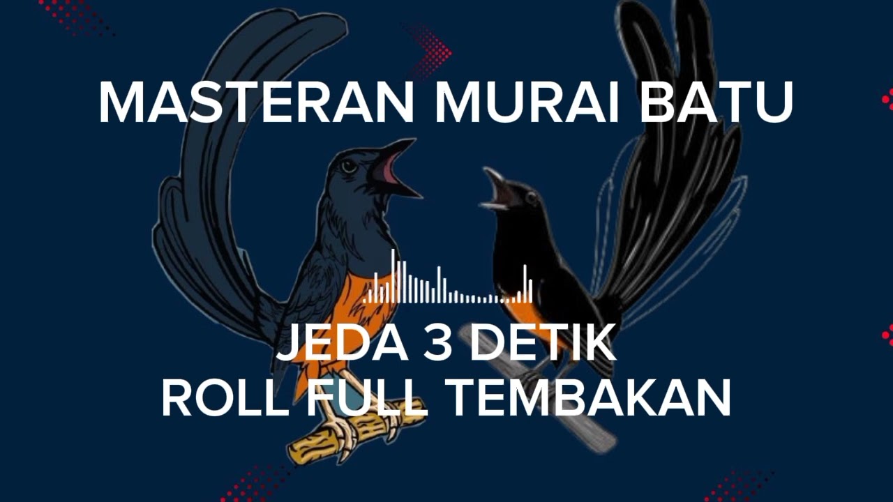 MEWAH !!! MASTERAN MURAI BATU ROLL FULL TEMBAKAN JEDA 3 DETIK