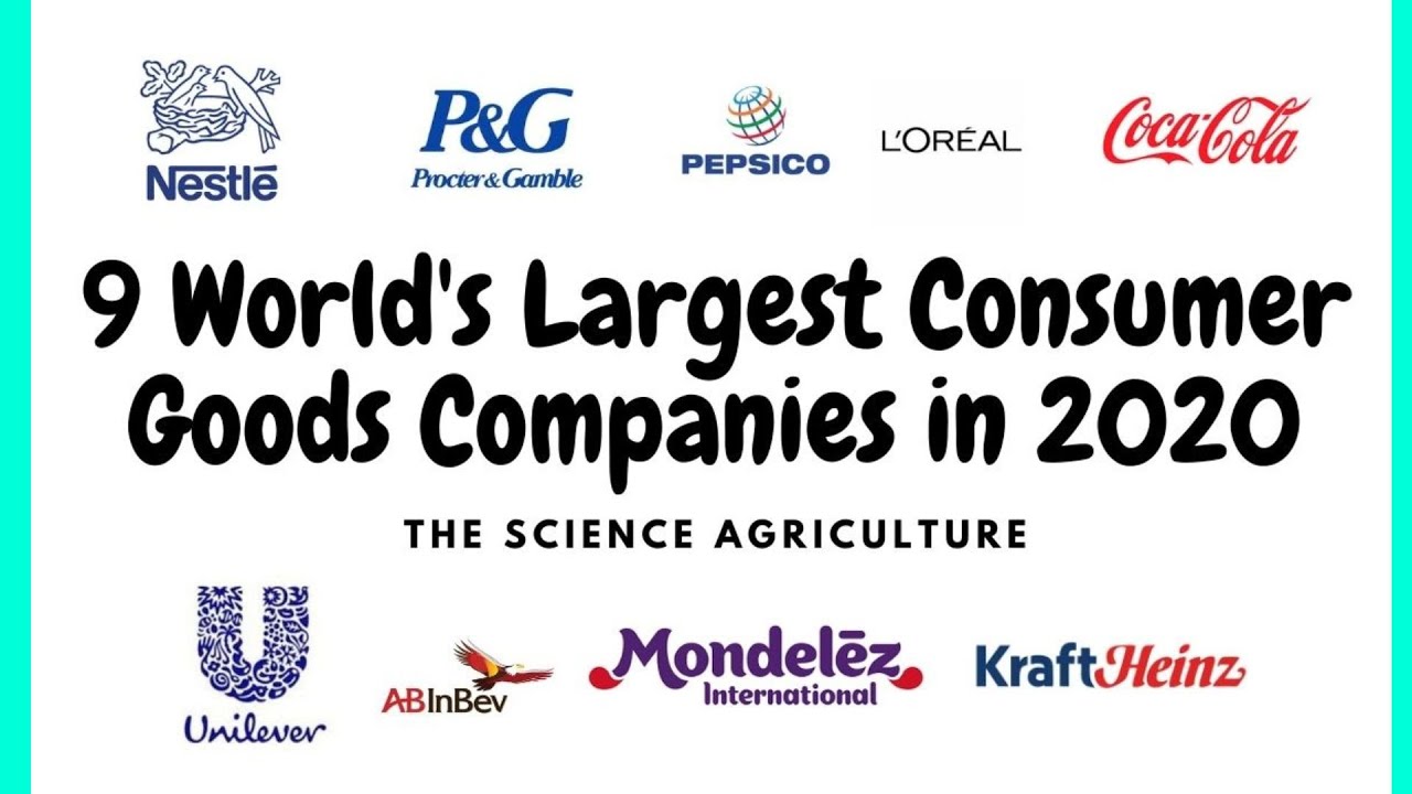 9 World's Biggest Consumer Goods Company
