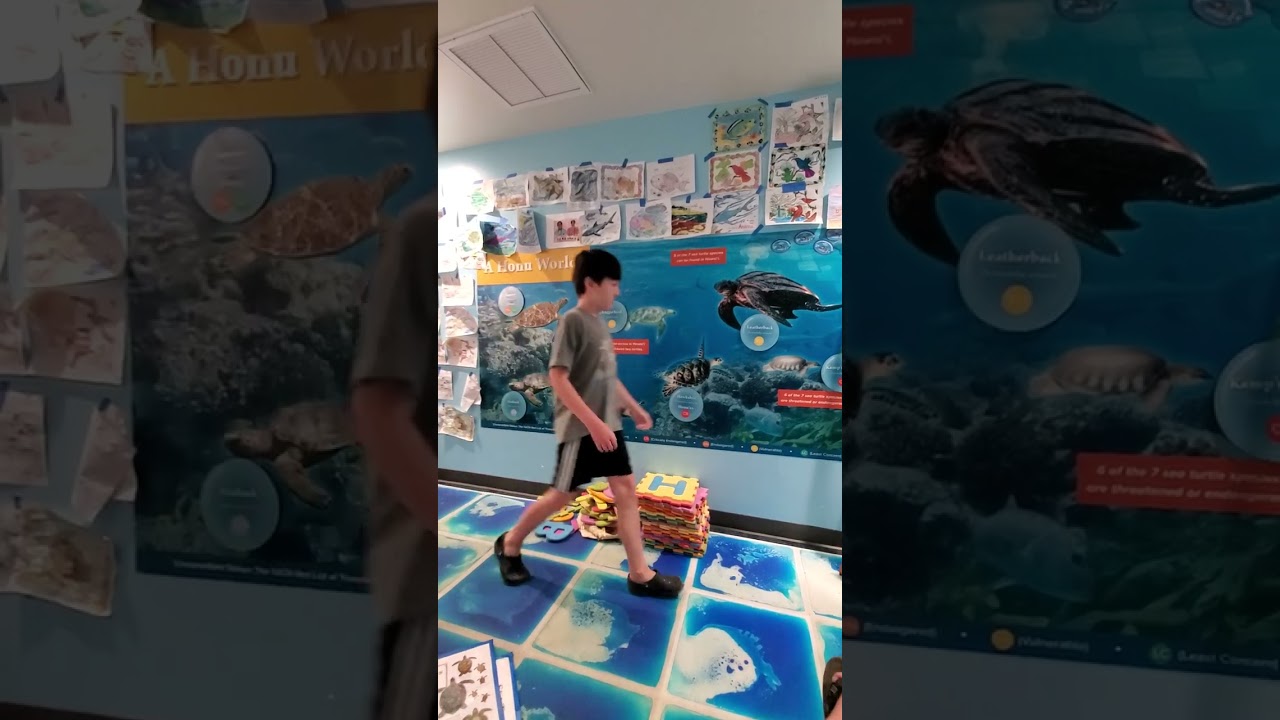 Honu Talk with Nolan at Hawaii Wildlife Discovery Center in Whalers Village, Maui Hawaii