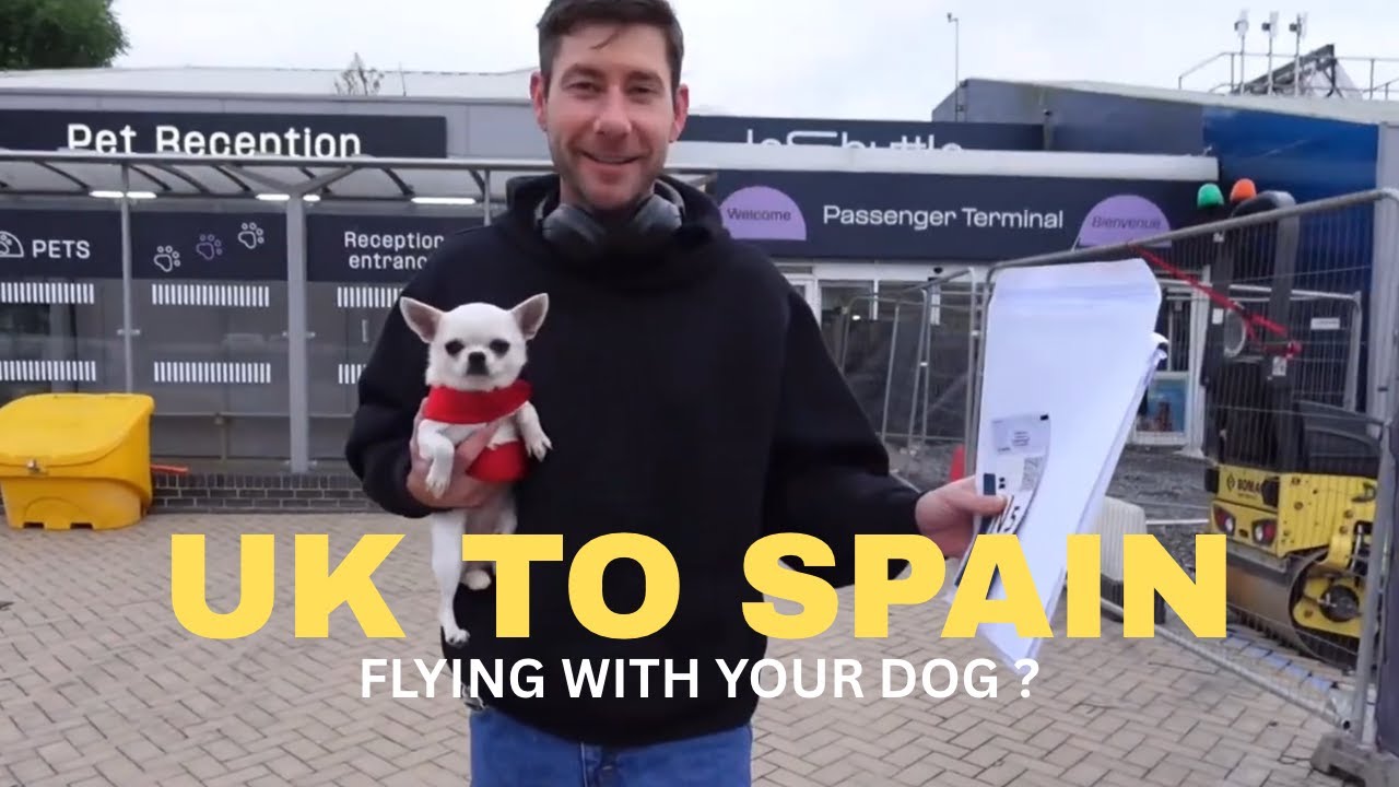 Flying to SPAIN from the UK with your dog #TRAVELDOG #dogfriendly