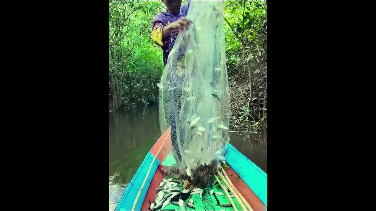 #fishing  #bigfish #automobile #catchandcook #fishingtrip