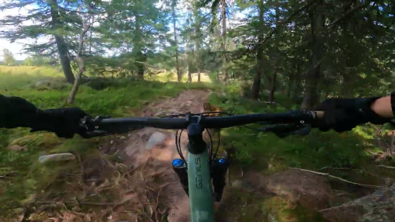 Sherpa i Sälen Bike Park
