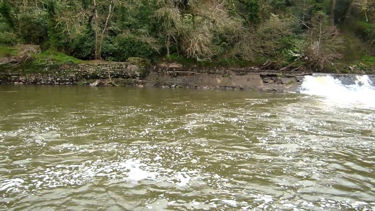 Fishing Beam Weir on the River Torridge!