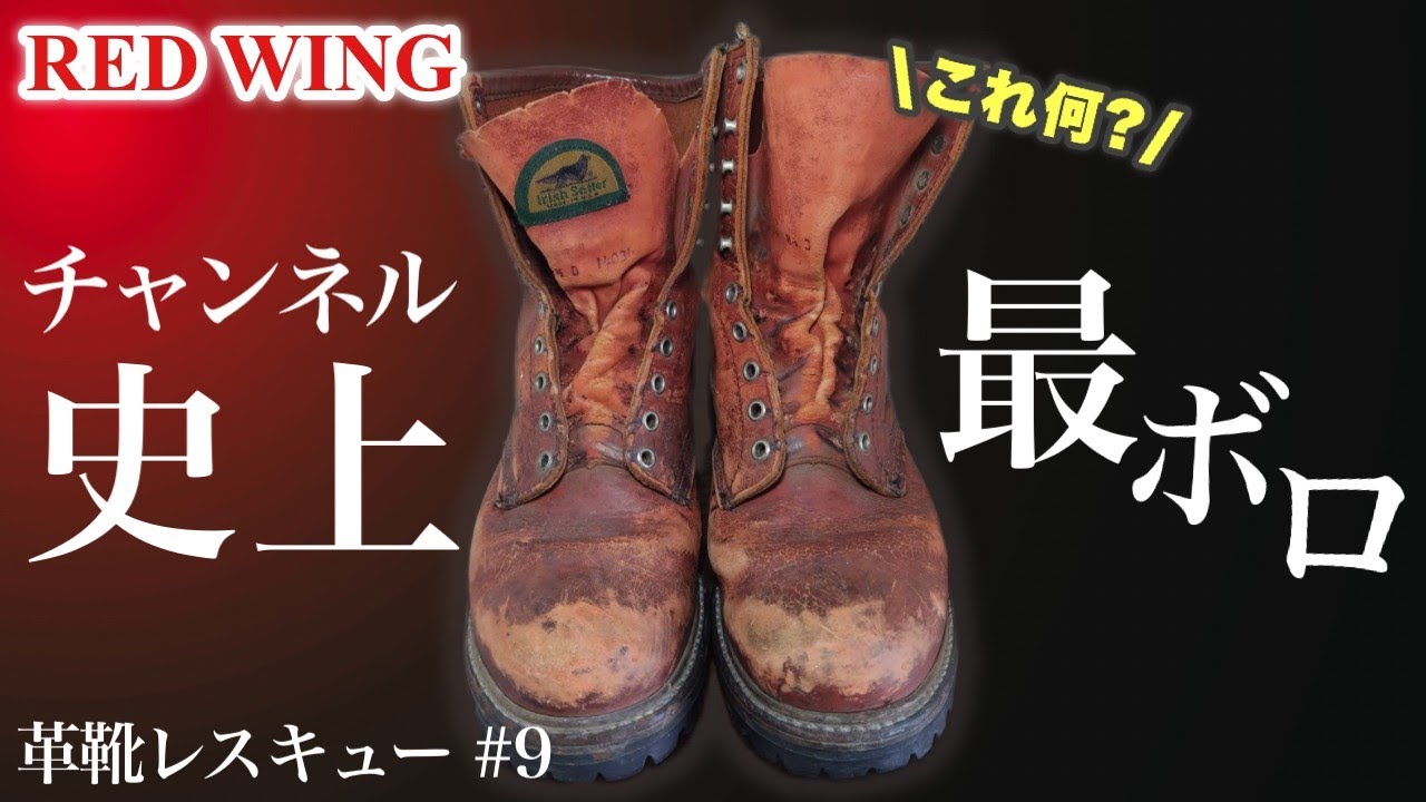 レッドウィング これはレスキューと言えるのか!?