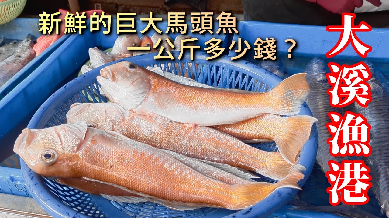 大溪漁港豐富的新鮮漁獲 有馬頭魚、石狗公、種類繁多的蝦子