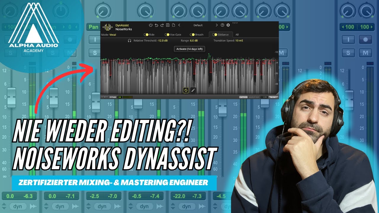 Nie wieder Editing?! Noiseworks DynAssist