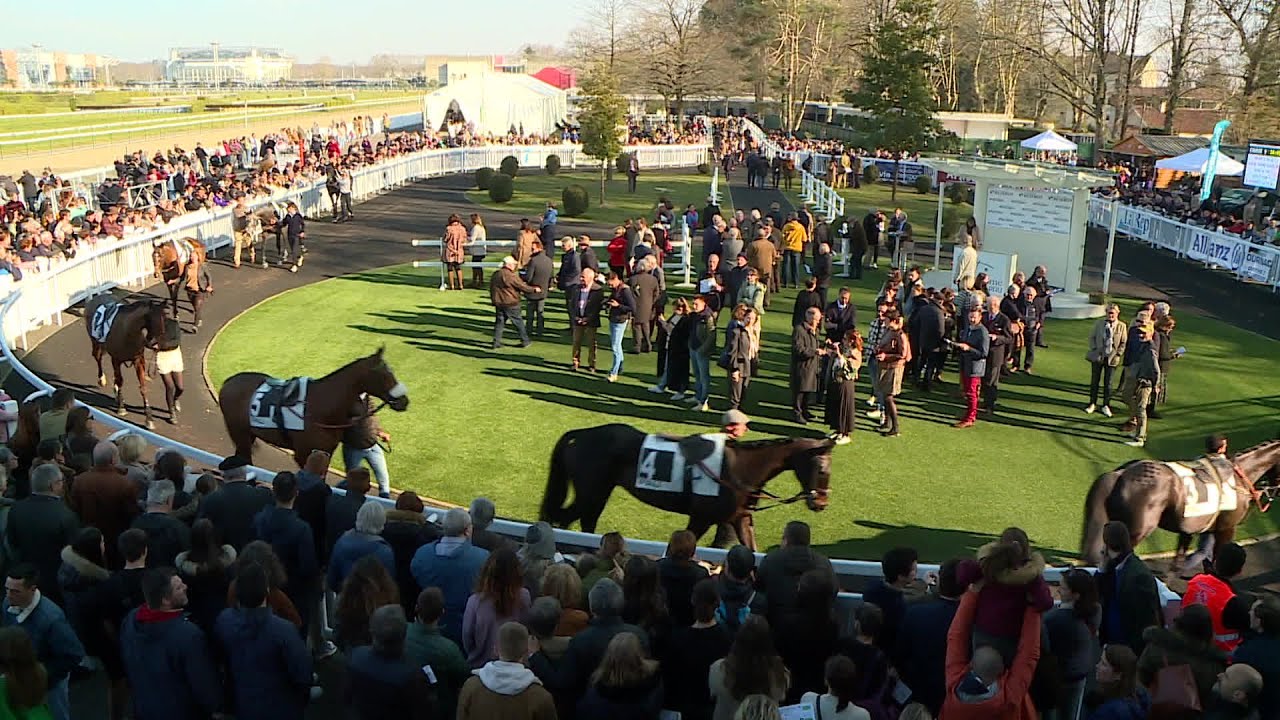 Meeting d'hiver, hippodrome de Pau 2025