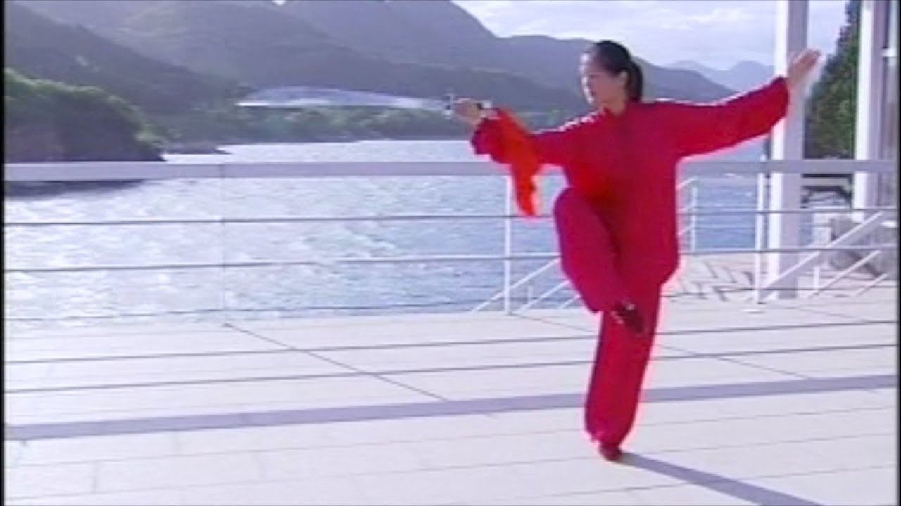 Wu-Style 13 Form Tai Chi Dao