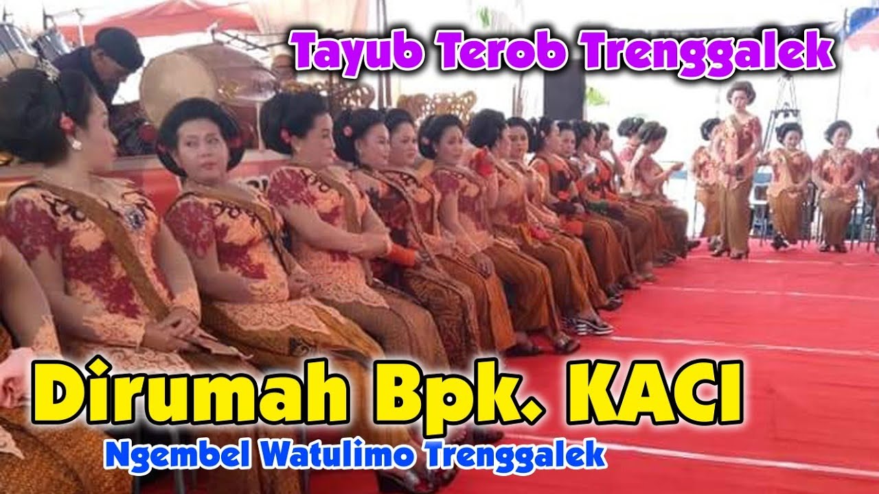 Tayub Terob Trenggalek Bapak KACI Ngembel Watulimo Trenggalek