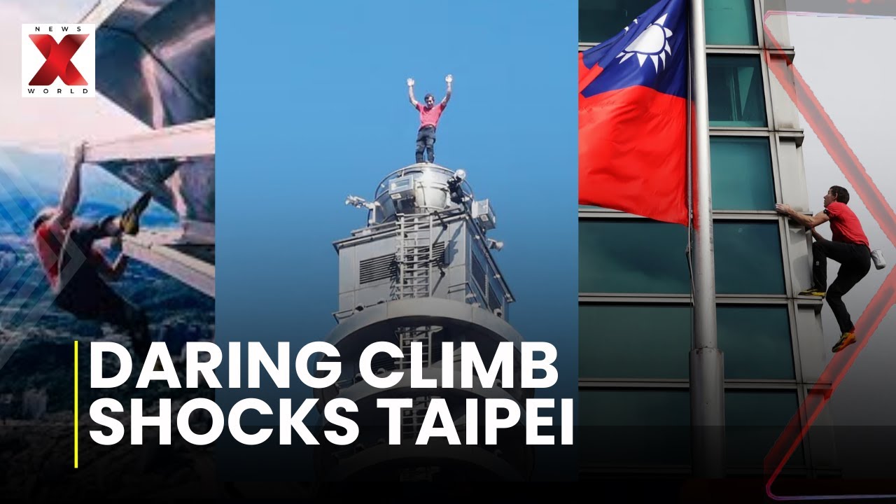 US Climber Scales Taipei 101: Daredevil Alex Honnold scales Taipei skyscraper| NewsX World
