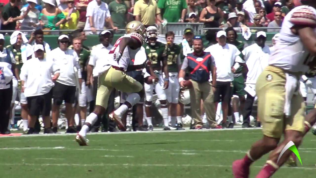 Auden Tate, FSU sideline catch versus USF