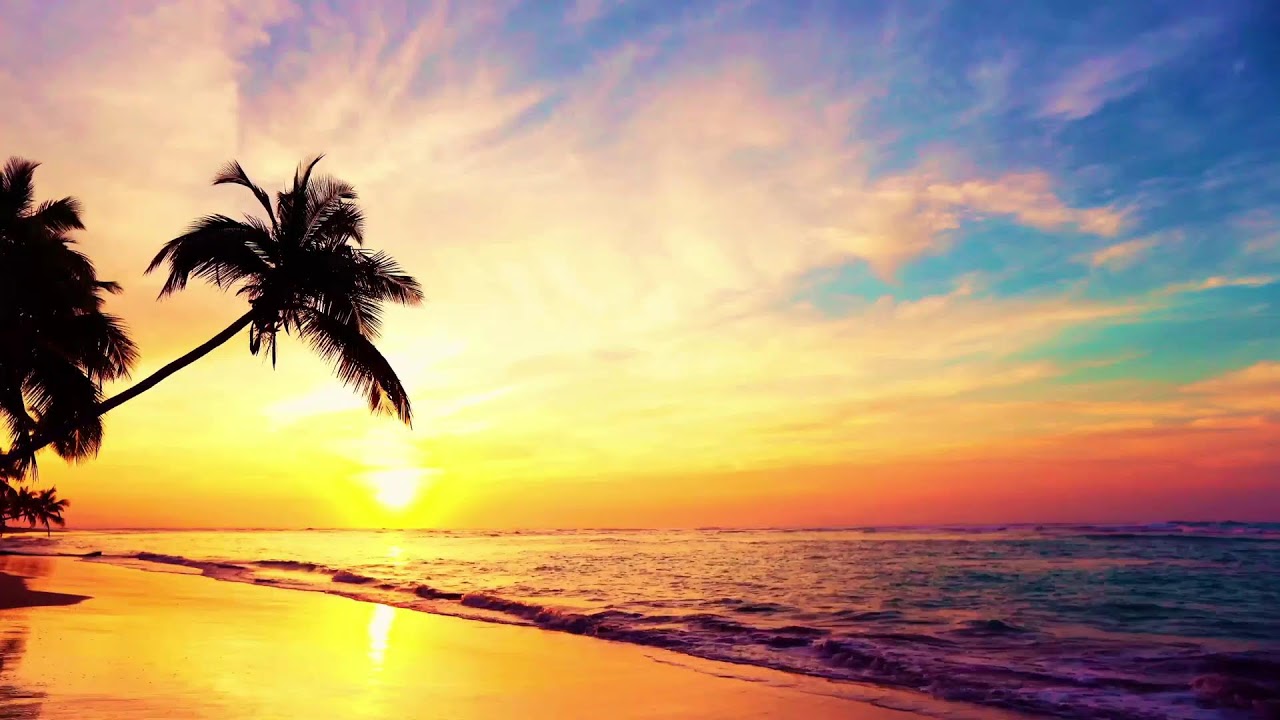 Ocean Sunset Lounge | Chill Beats to Unwind 🌅🌊