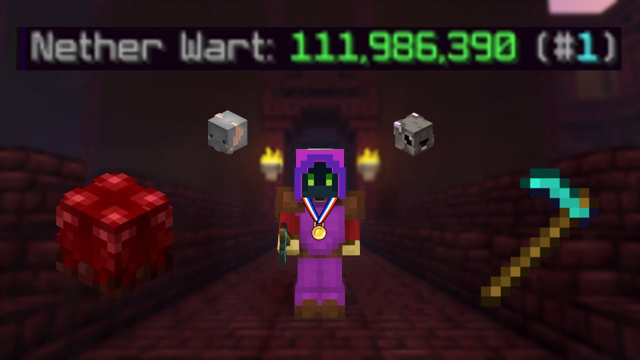 How I Became the #1 Nether Wart Farmer in Hypixel Skyblock