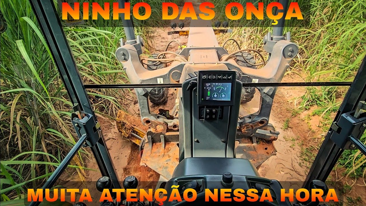 FAZENDA DA ONÇA PATROLAMENTO NO CANAVIAL motoniveladora 620p john deere