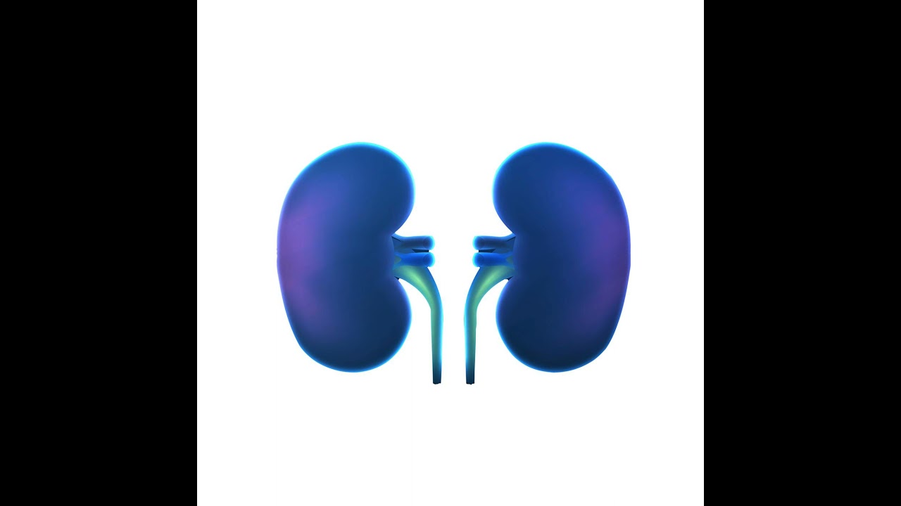 Kidneys, COVID-19 and ACE2 Connection with Daniel Batlle, MD