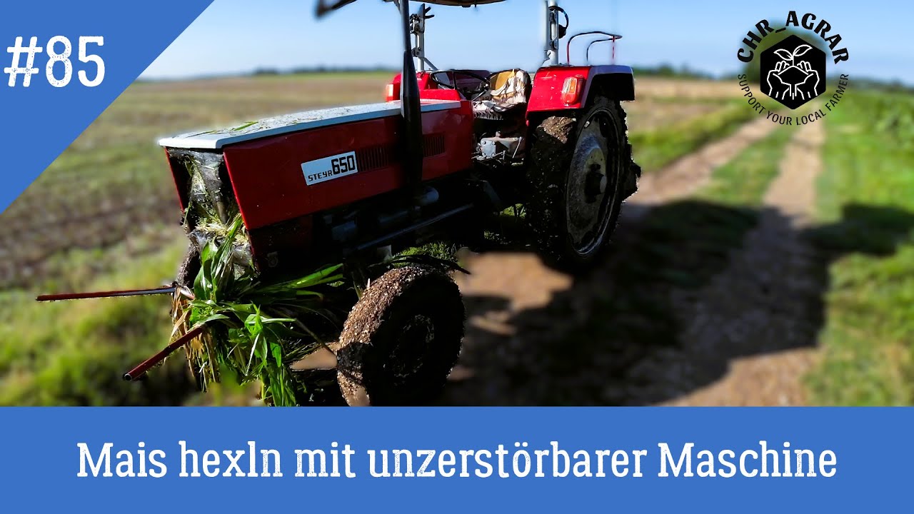 Farmvlog #85 - Mais hexln, Kampf gegen DAS Ungras, Beregnung aufs neue
