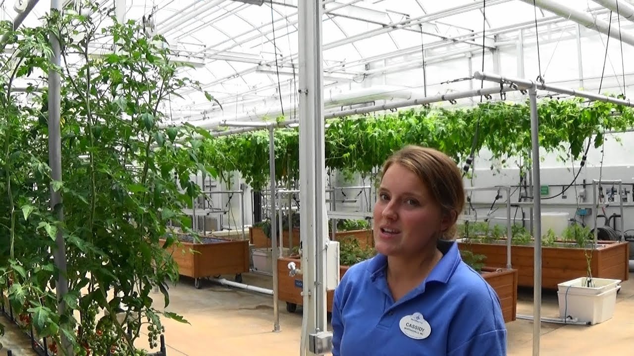 Behind the Seeds Full Tour - The Land Pavilion - EPCOT - WDW - 2018