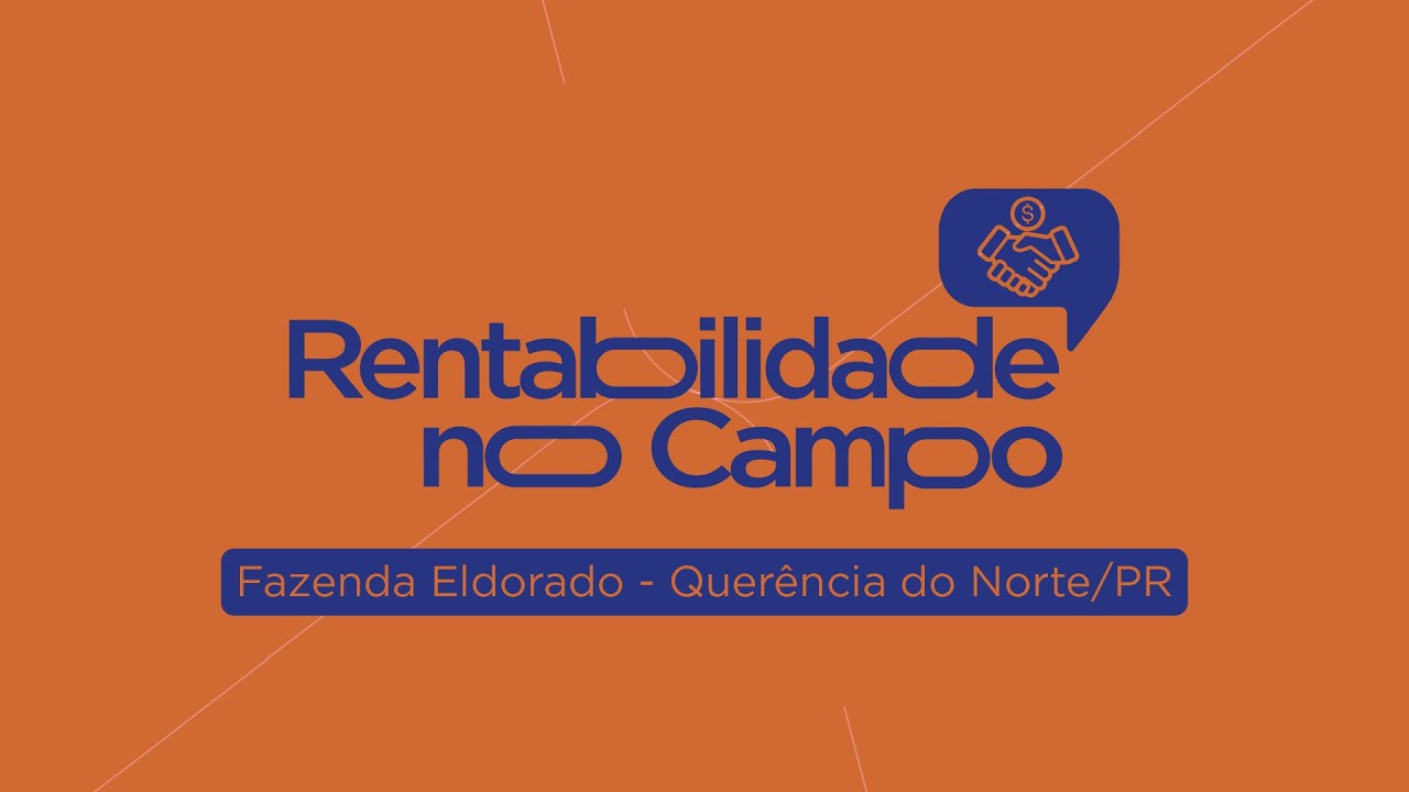 Rentabilidade no Campo Minerphós - Fazenda Eldorado | Querência do Norte/PR
