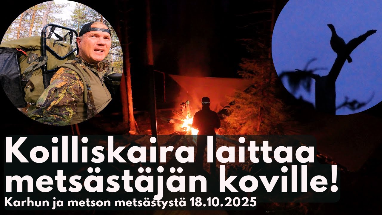 Vaativa Koilliskaira laittaa mets&auml;st&auml;j&auml;n koville! Vaellusmets&auml;st&auml;j&auml; K1:J07