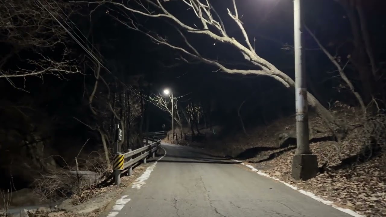 산책 아직 많이 시원한 아침 숲길 도로 - 20260131 호암사 방향