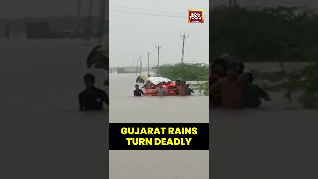Gujarat: District Officials Rescue Villagers Trapped in Heavy Rain in Devbhumi Dwarka