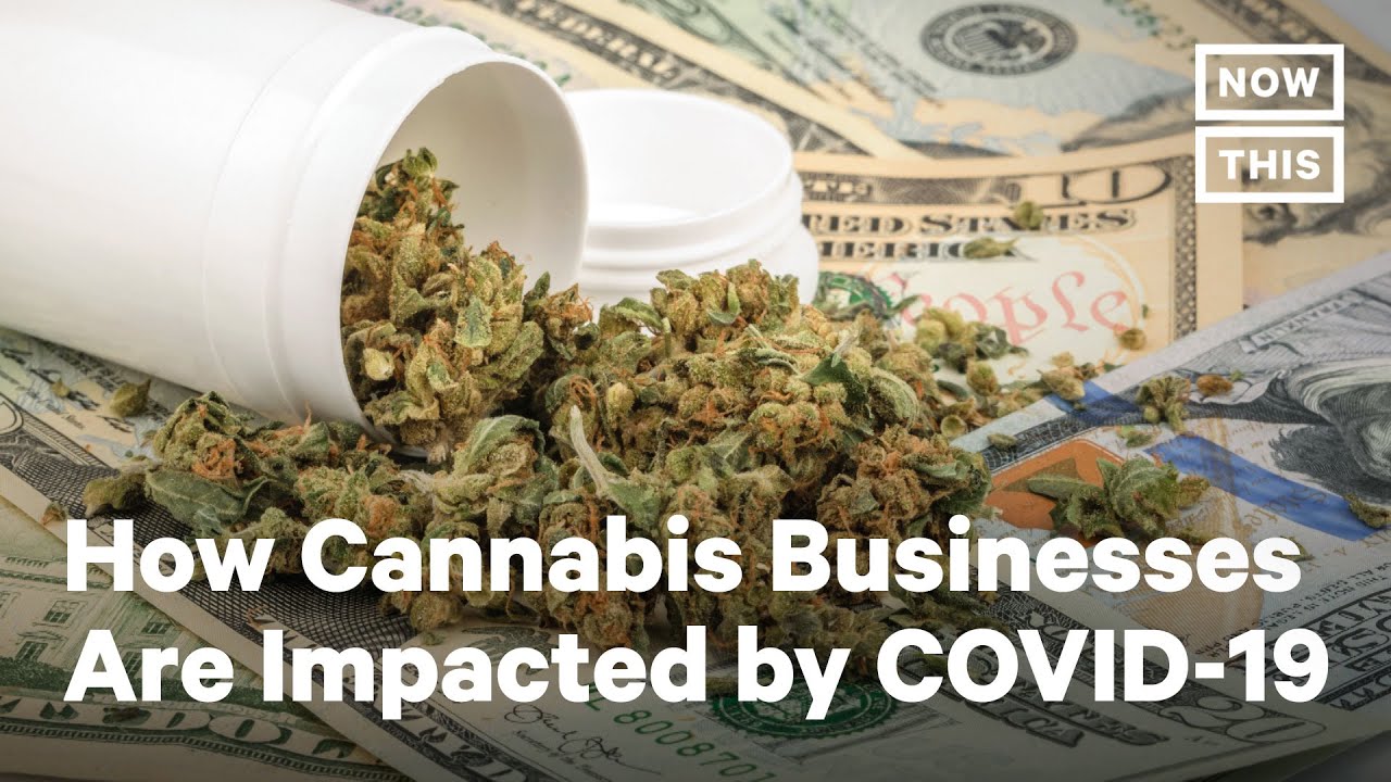 Why Cannabis Businesses Won't Get Federal Relief During COVID-19 | NowThis