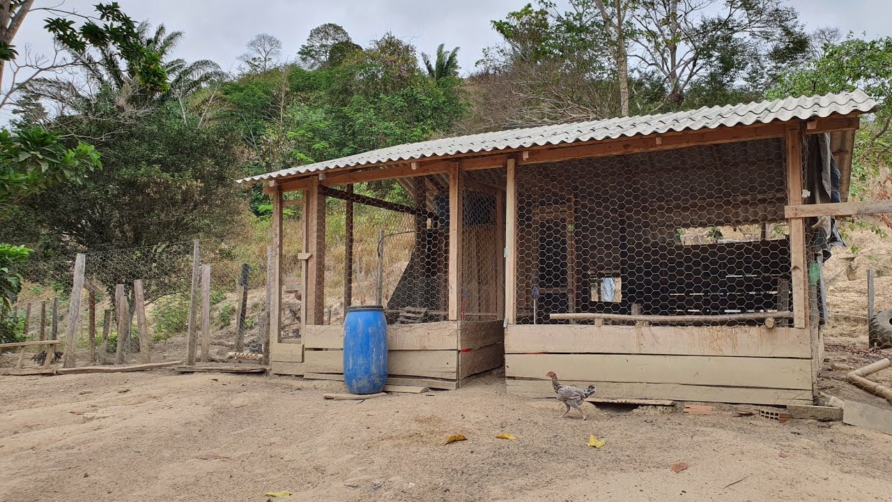 Nosso Galinheiro
