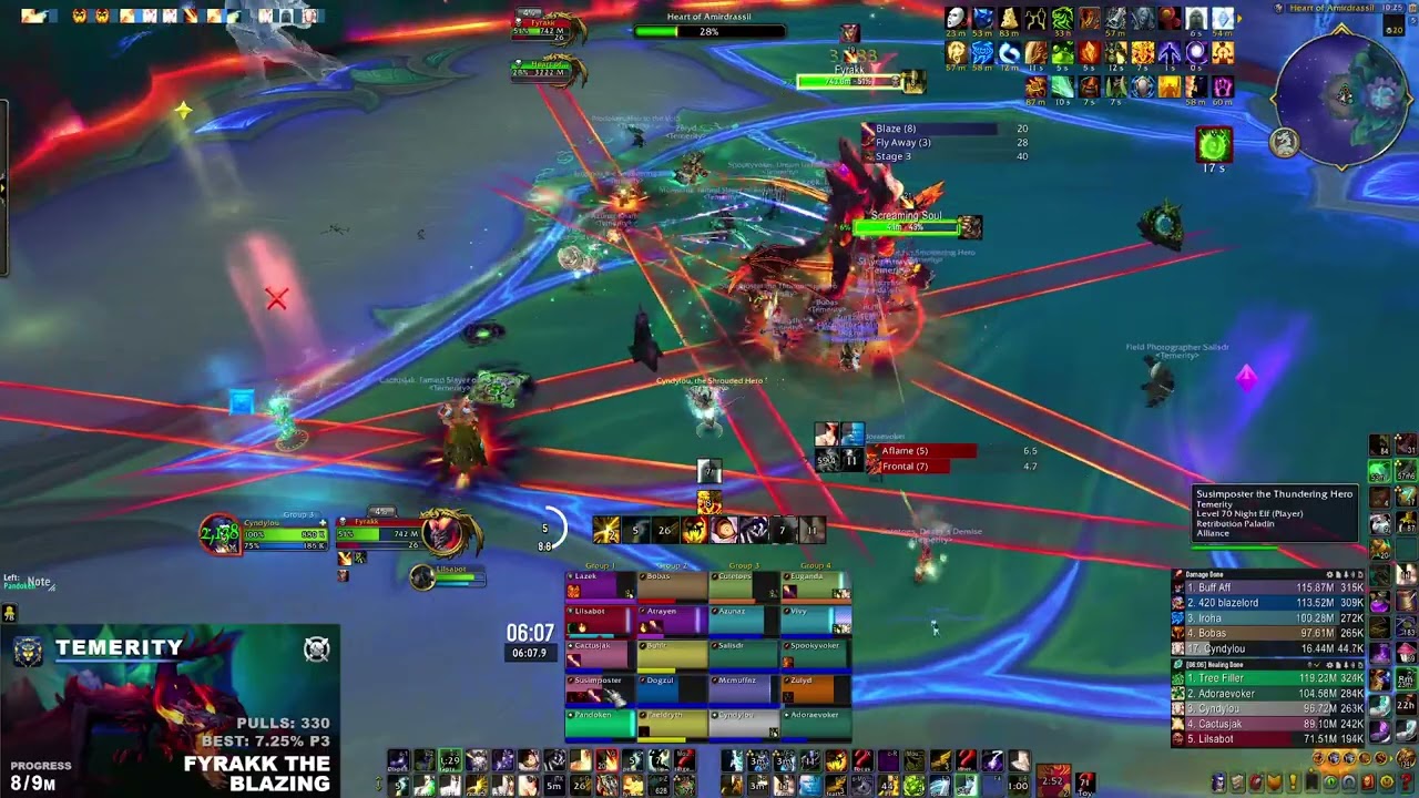 Temerity vs. Mythic Fyrakk the Blazing - Disc Priest PoV