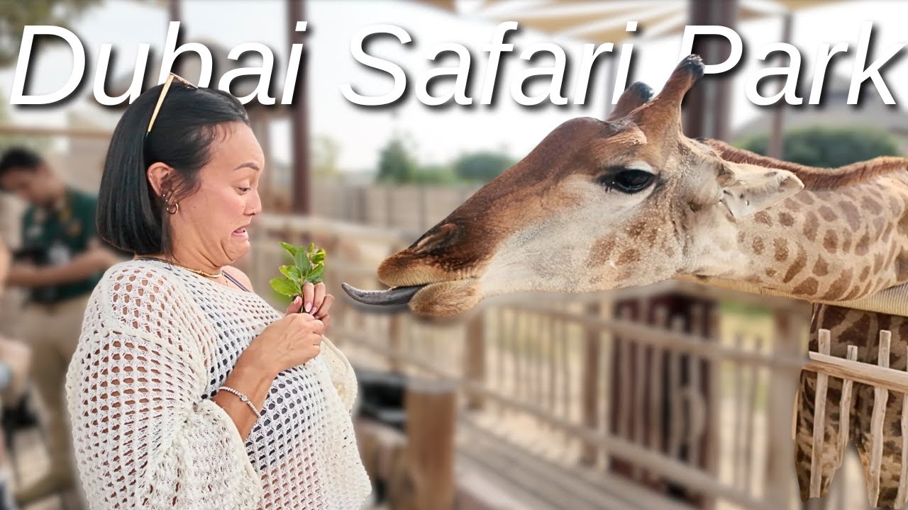 My American in-laws react to Dubai Safari Park | VIP experience 